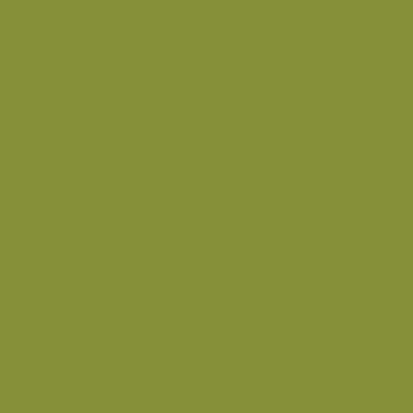 Wild Olive