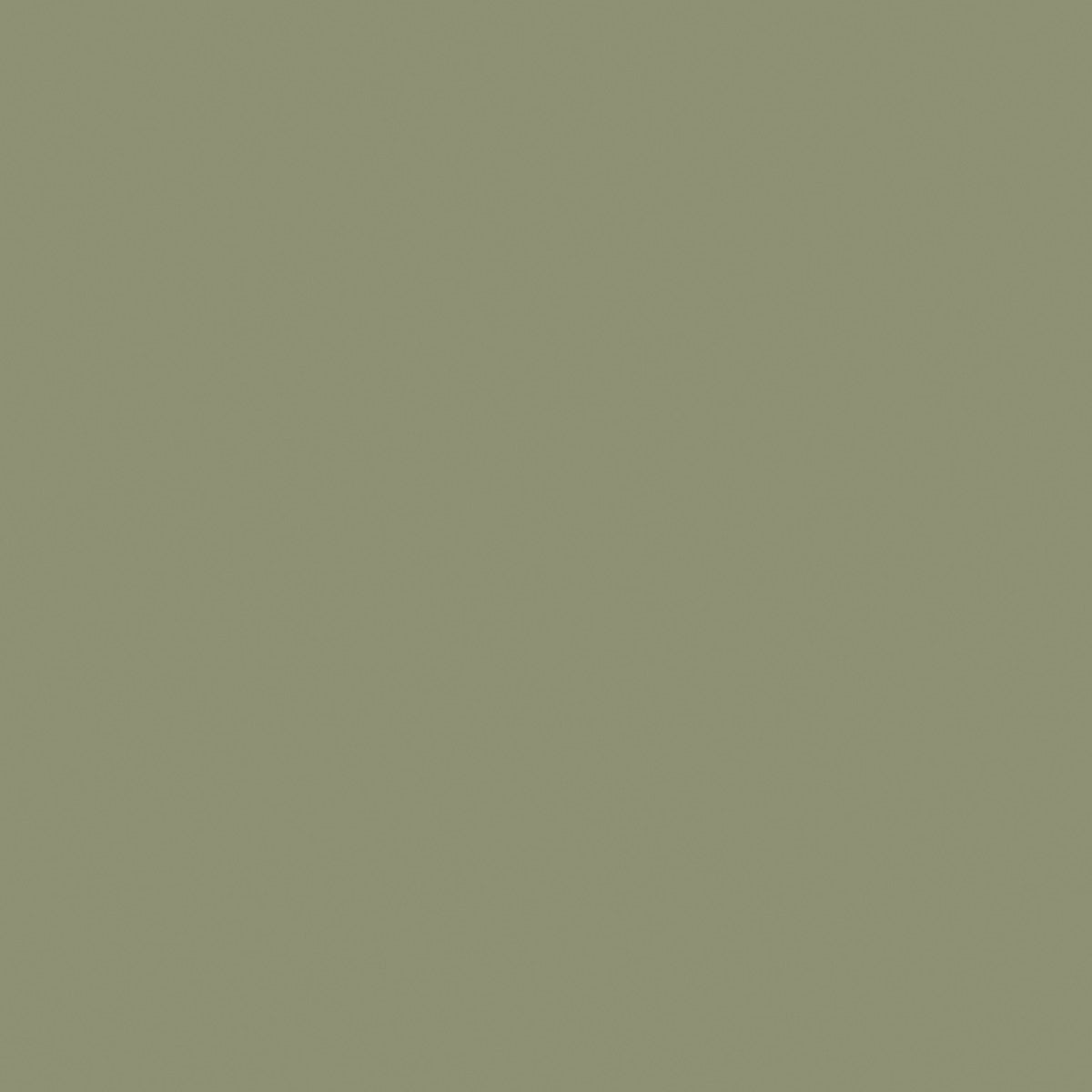 MEDIUIM OLIVE