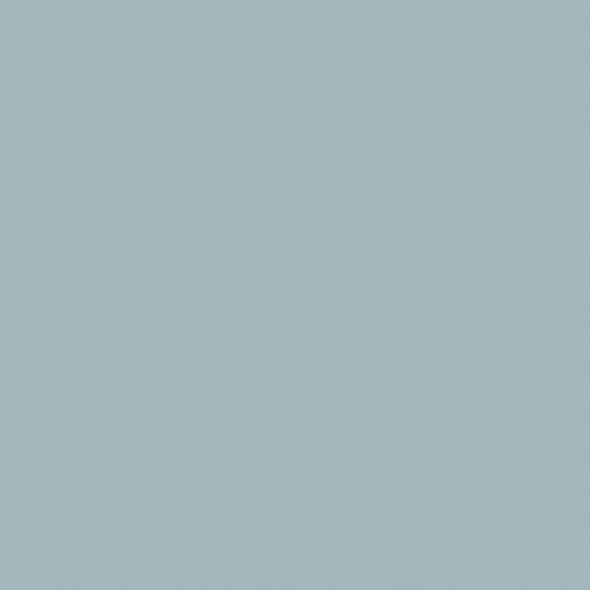 Quaker Grey