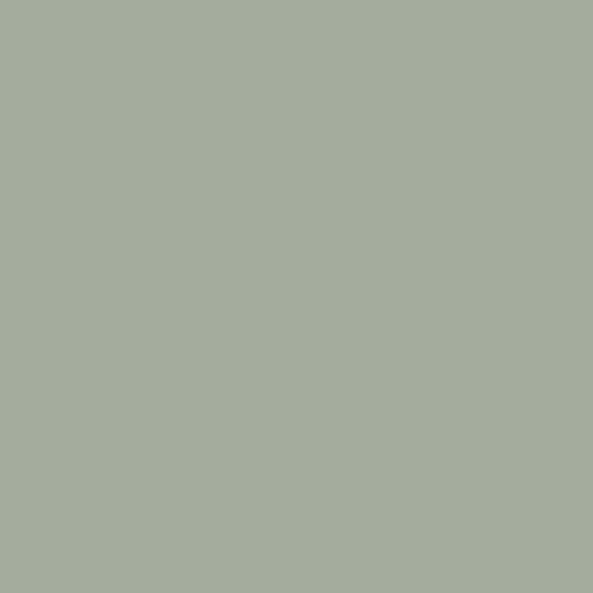 Silverpine