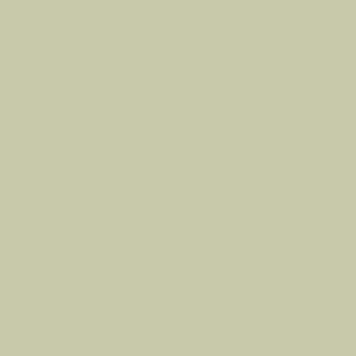 Light Olive - Precious Metals