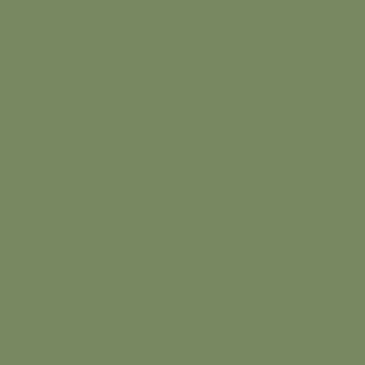 SEA GRASS