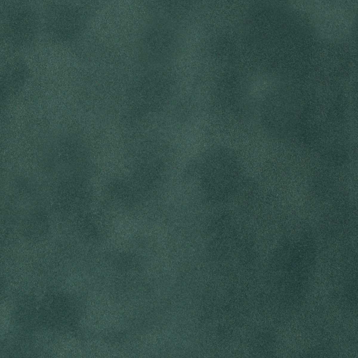 Spruce