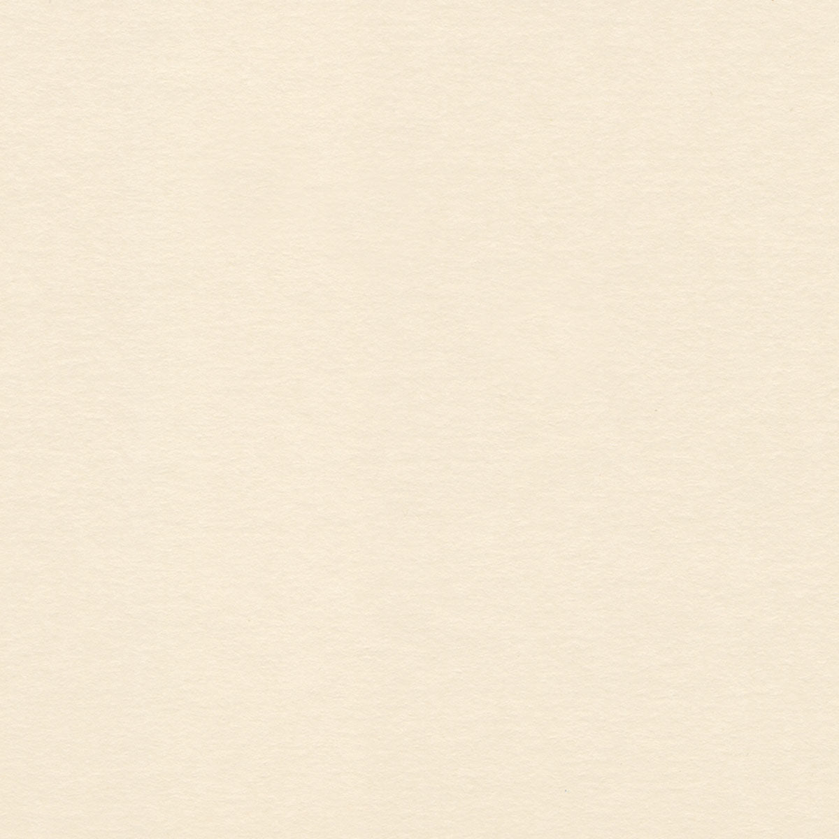 Palomino