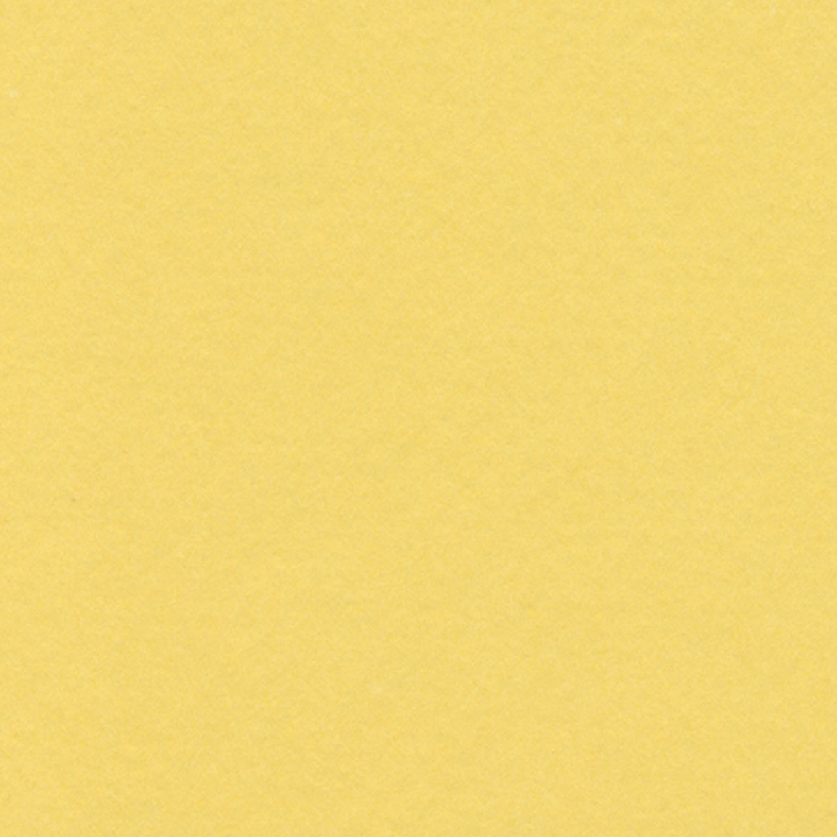 Maize