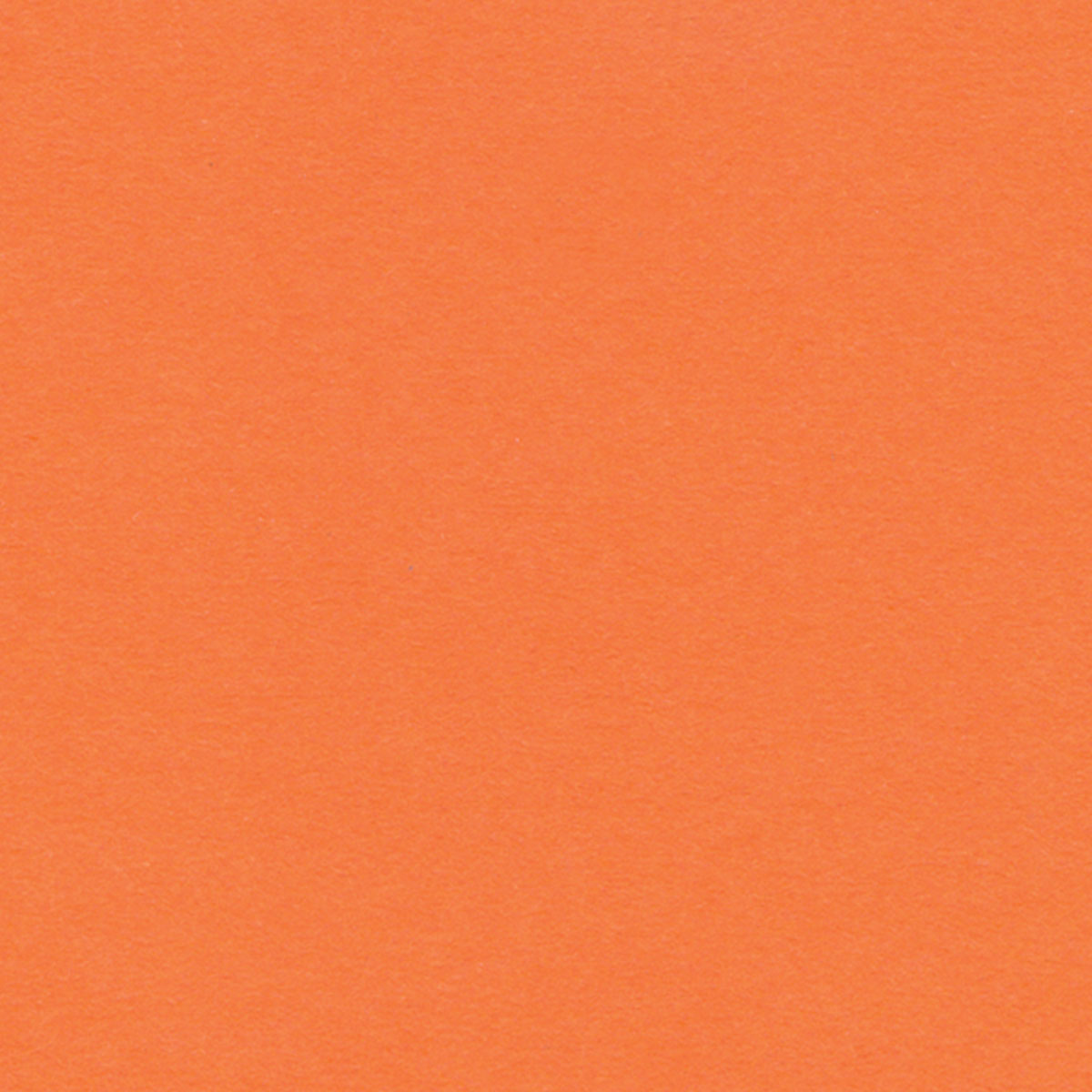 Mandarin Orange