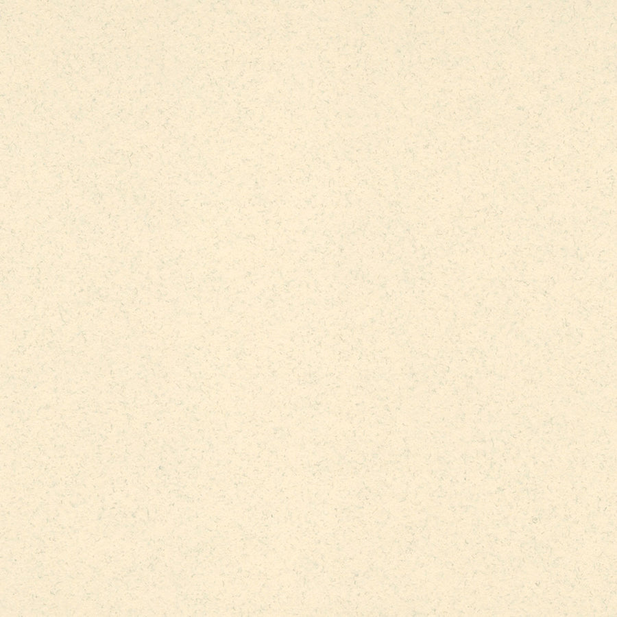 Froth