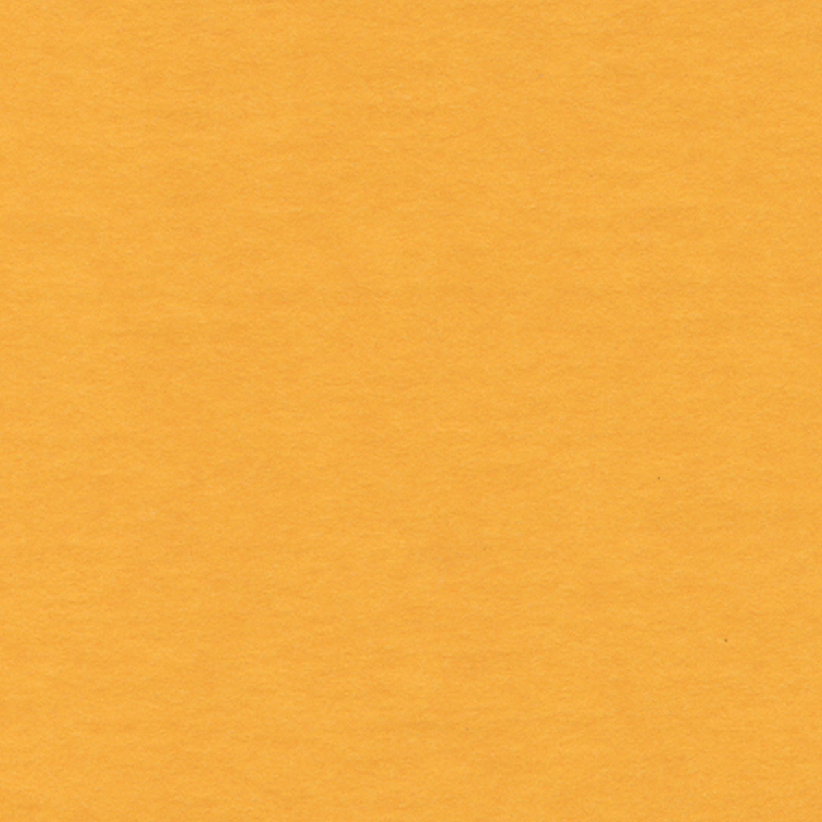 Butterscotch