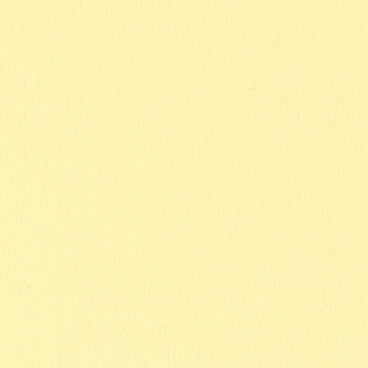 Omelet