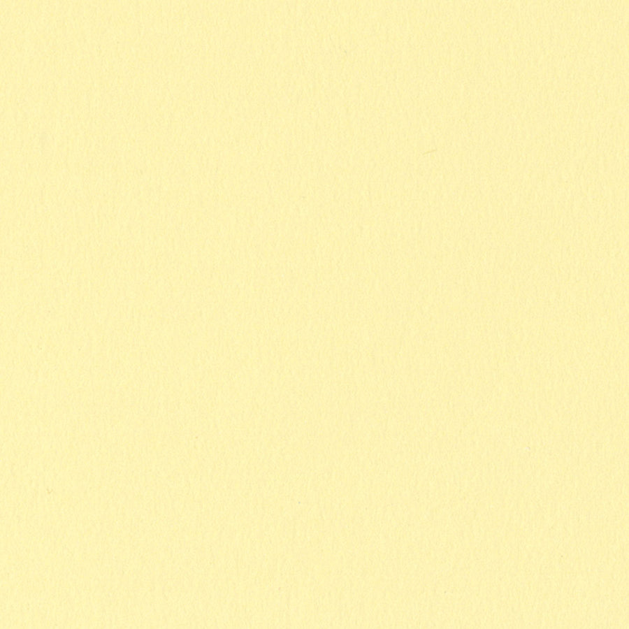 Omelet