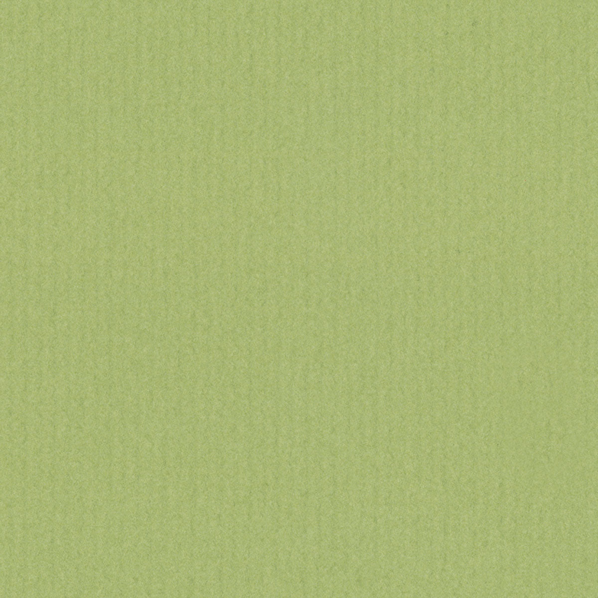 Wasabi