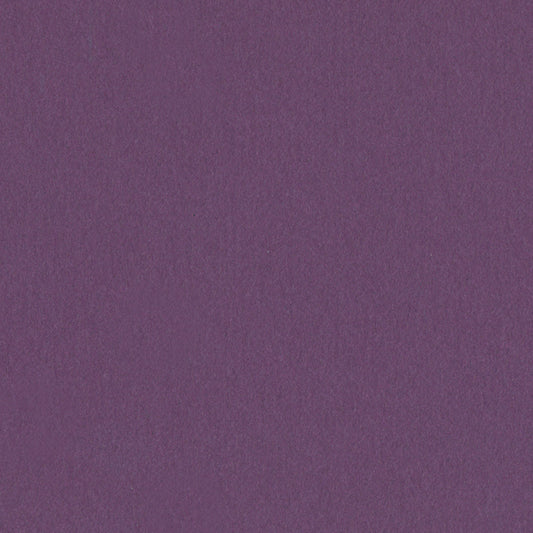 Purple Wildflower
