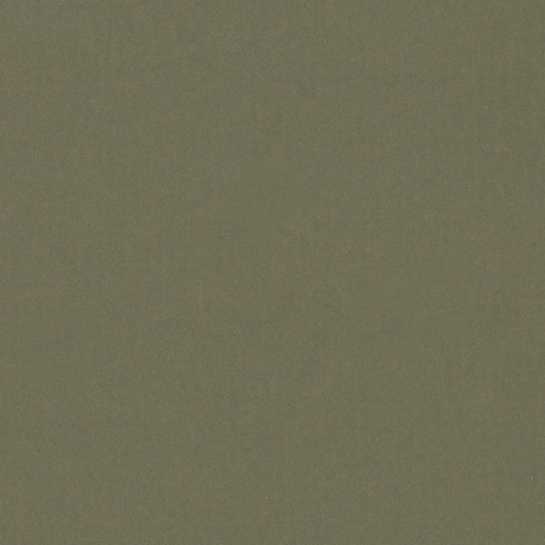 Underbrush