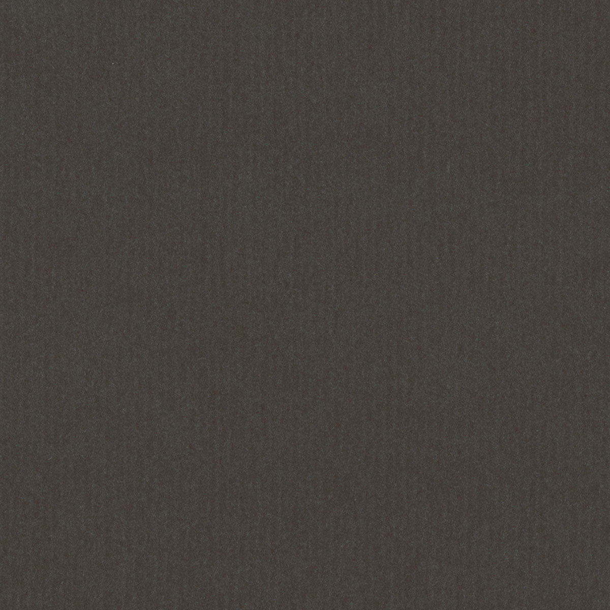 Peat Moss