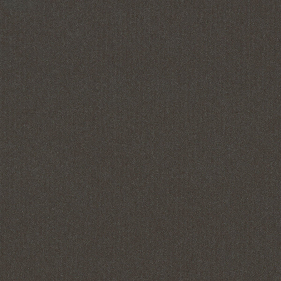 Peat Moss