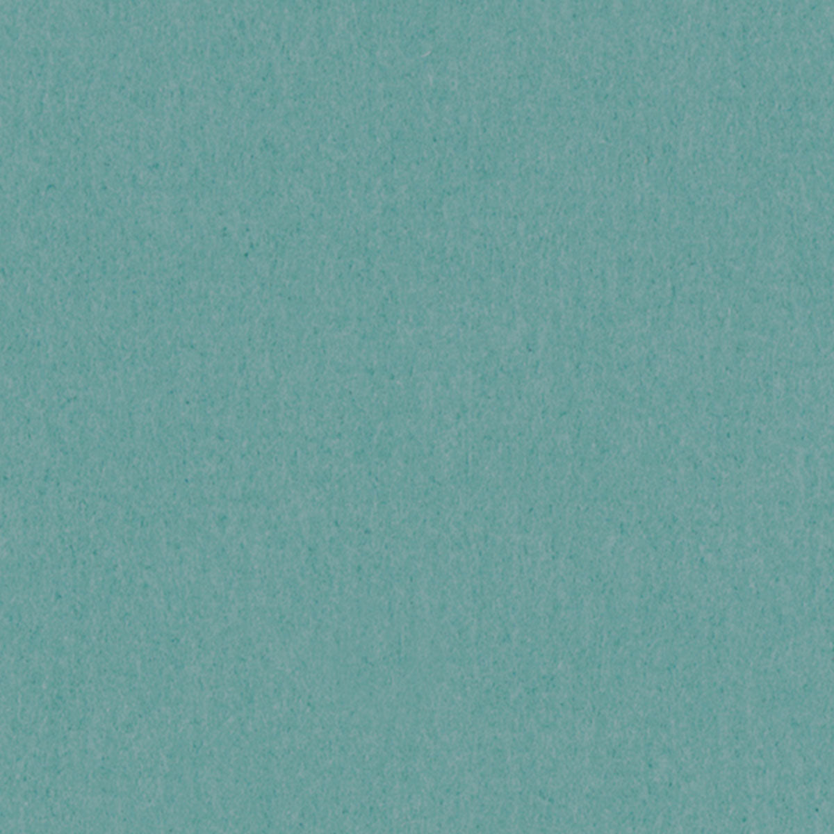 Pool Liner