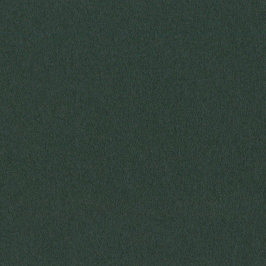 Coal