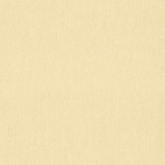 Woodlands - Yellow Birch