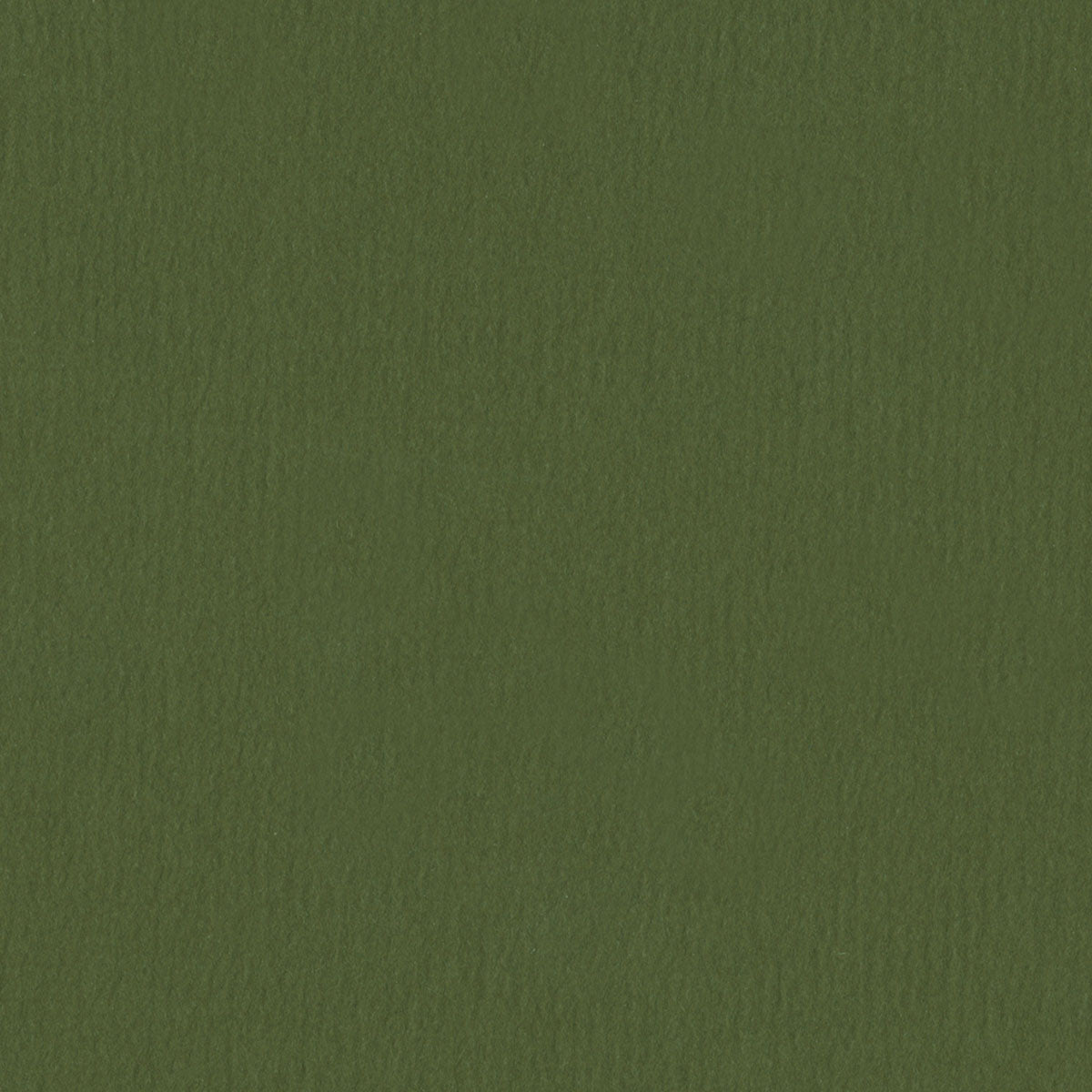 Sierra Olive
