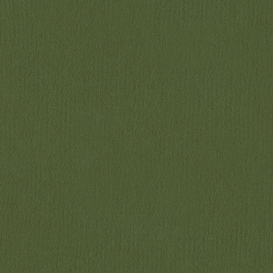 Sierra Olive