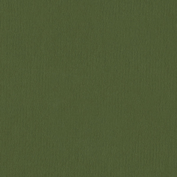 Sierra Olive