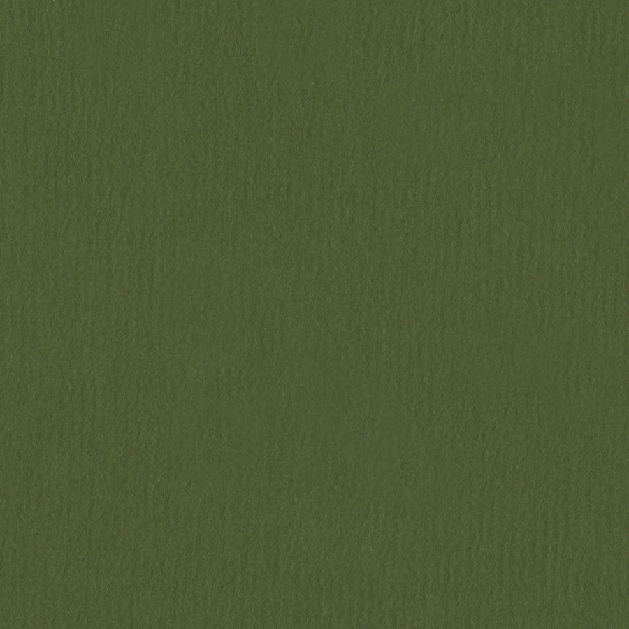 Sierra Olive