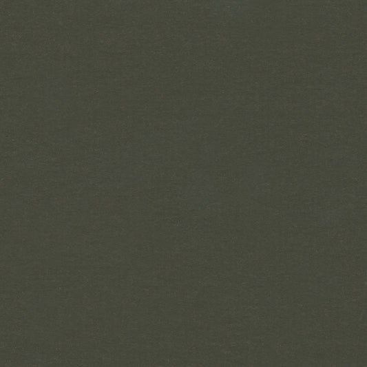 Dark Shale