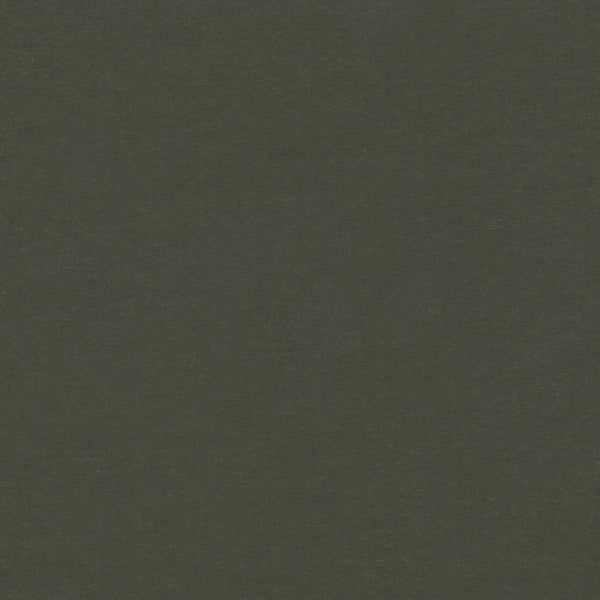 Dark Shale