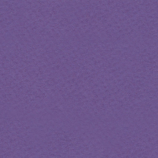 Purple Iris