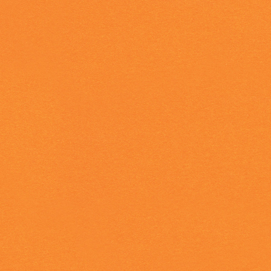 Blaze Orange