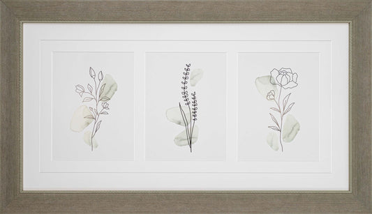Colonna Sage Frame
