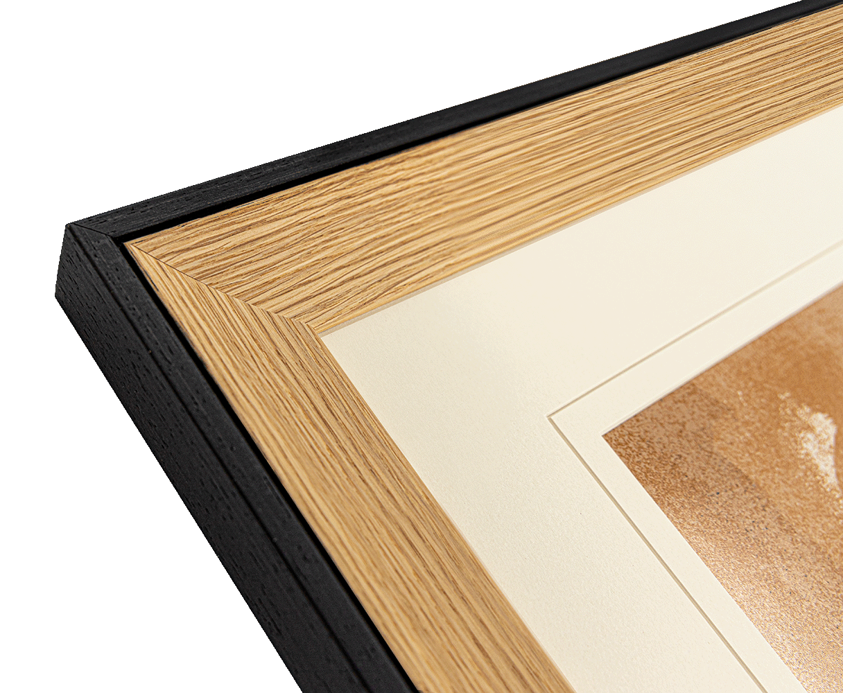 Dualita Honey Birch Frame Angle