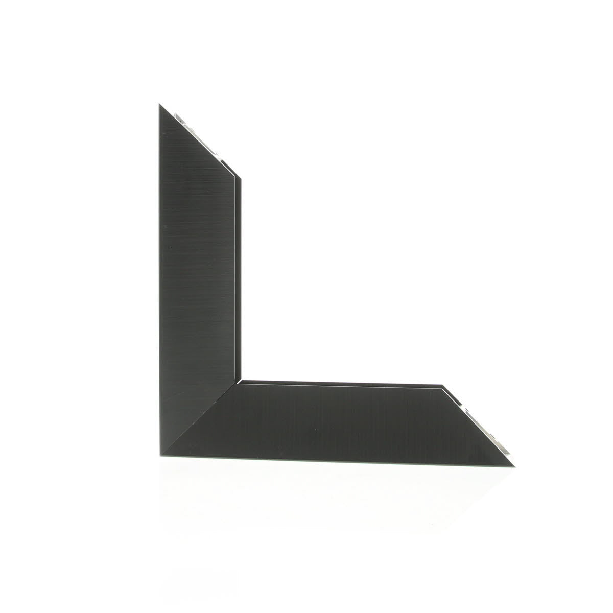 ML225421
