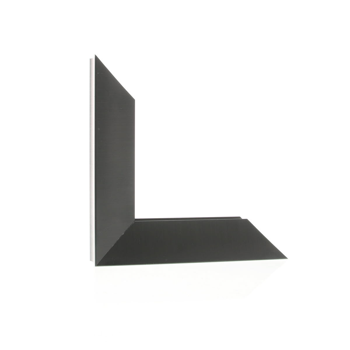 ML225421