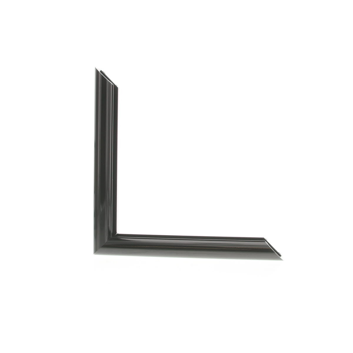 ML2520
