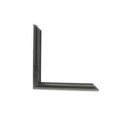 ML2520