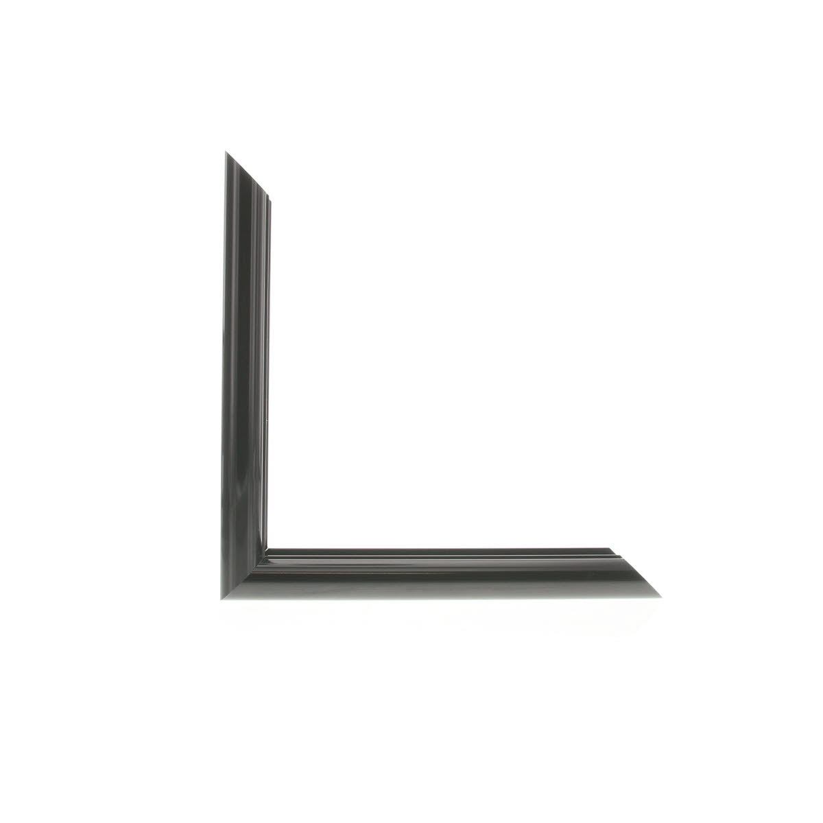 ML2520