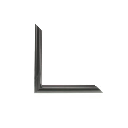 ML2520