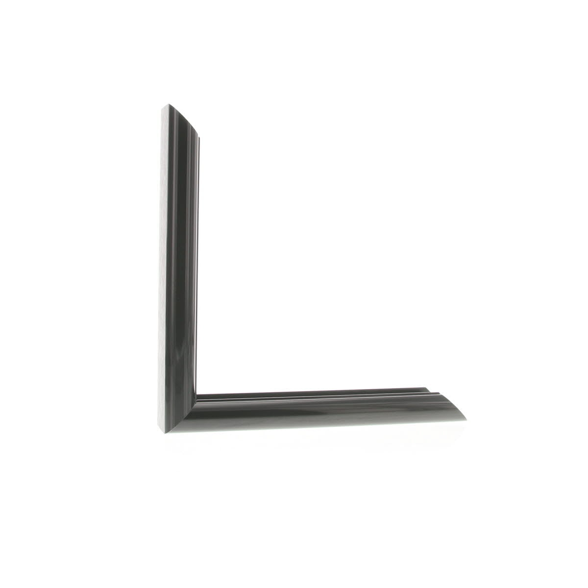 ML2520