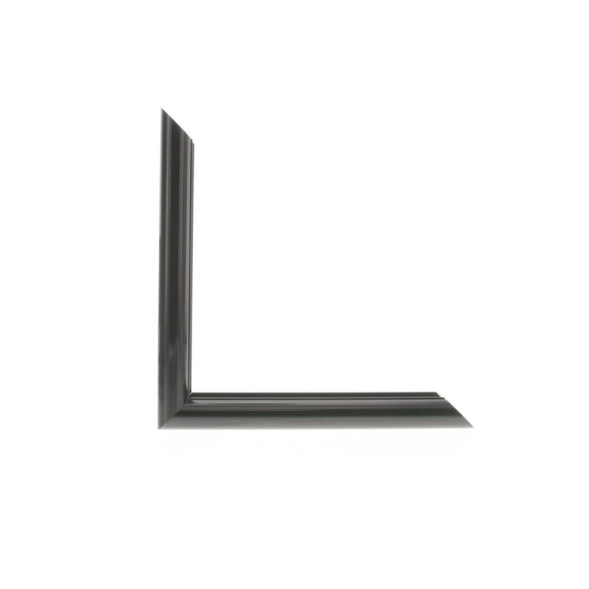 ML2520