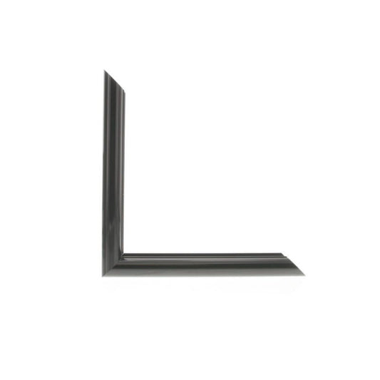 ML2520