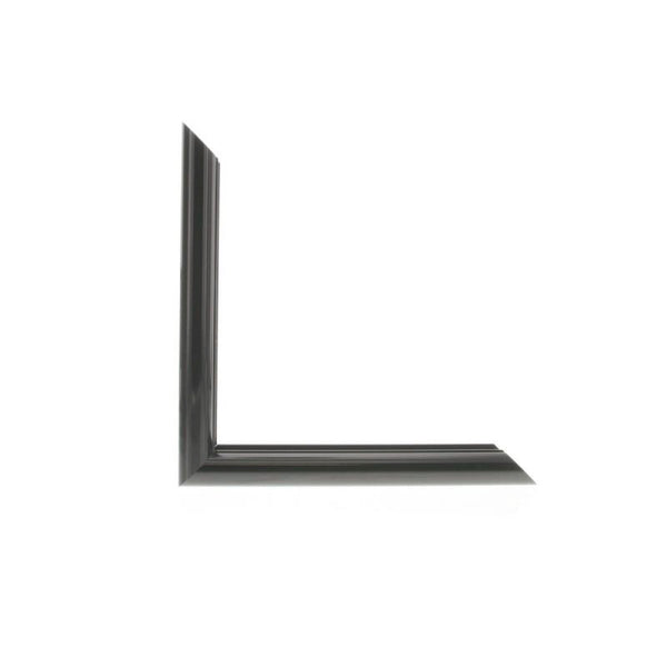 ML2520