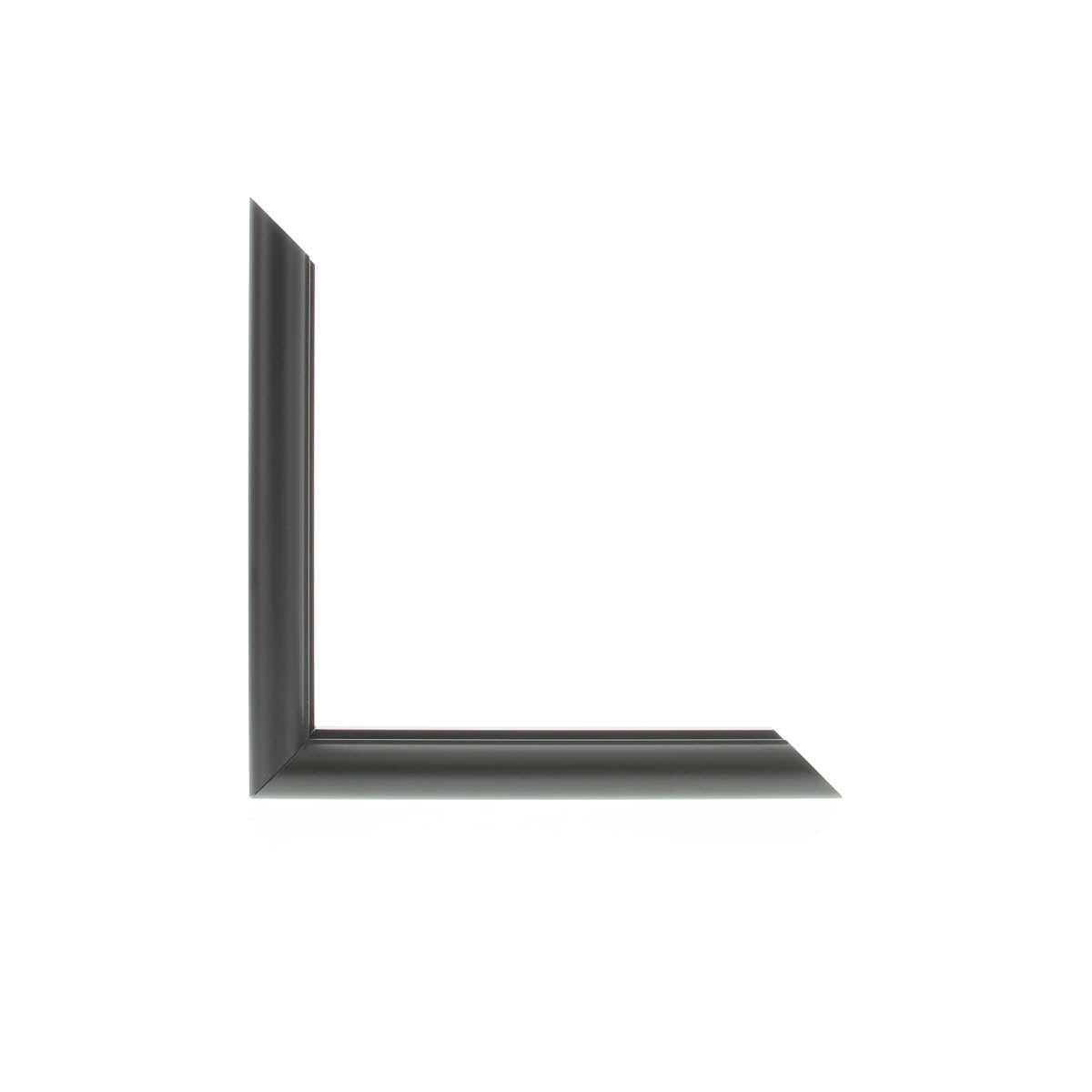ML2521
