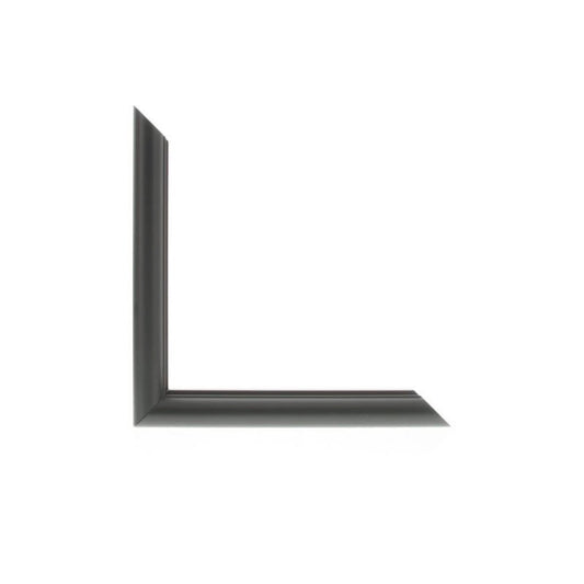 ML2521