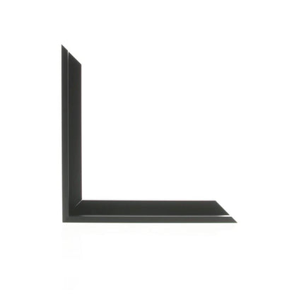 ML3421