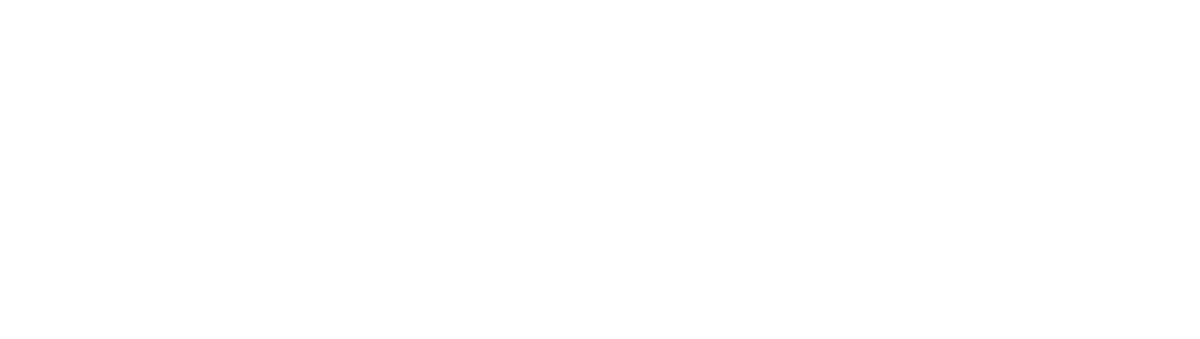 Nielsen N Logo