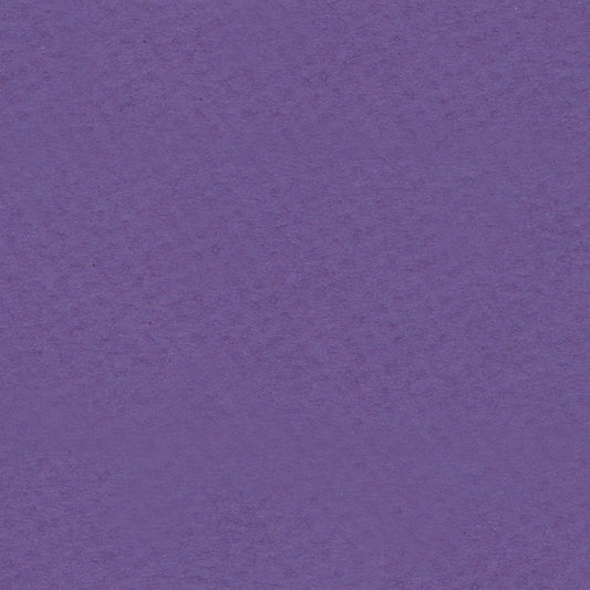 Purple Iris