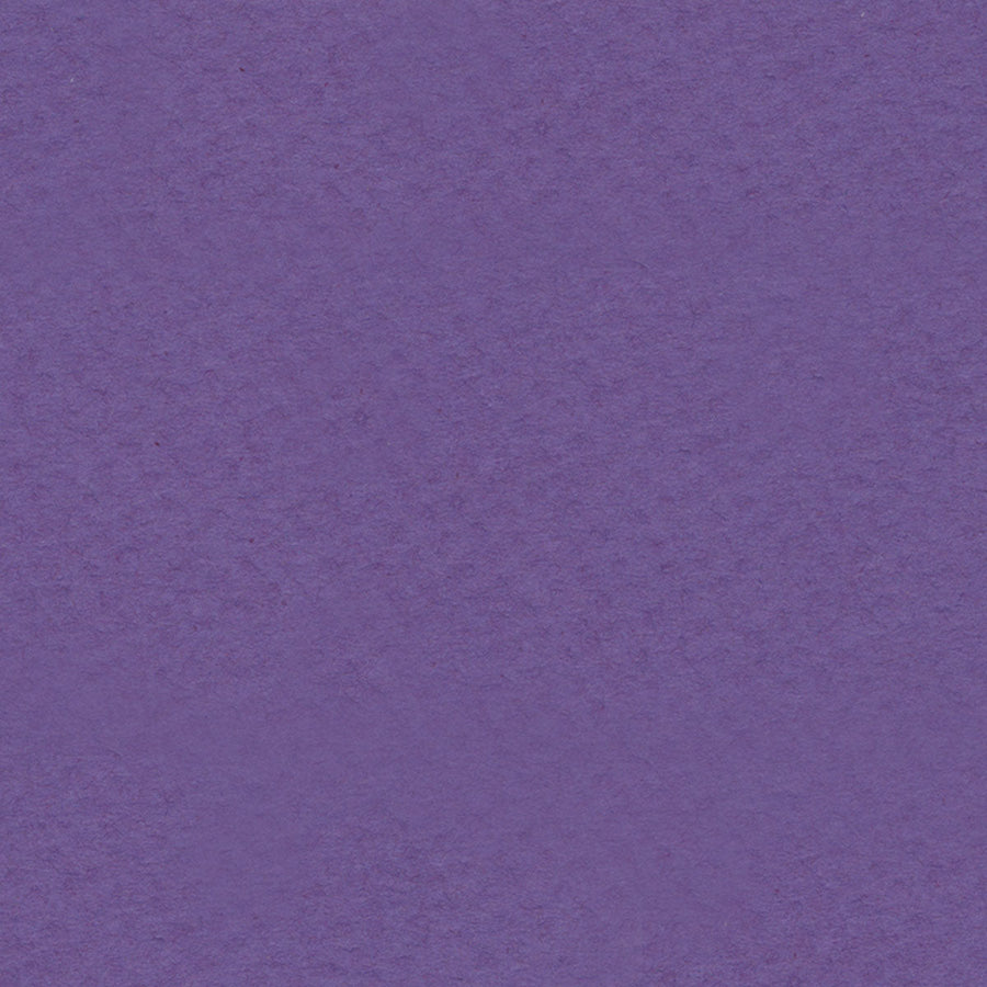 Purple Iris