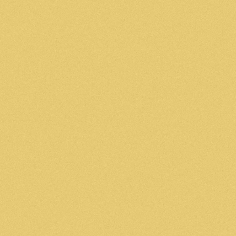 Chamois