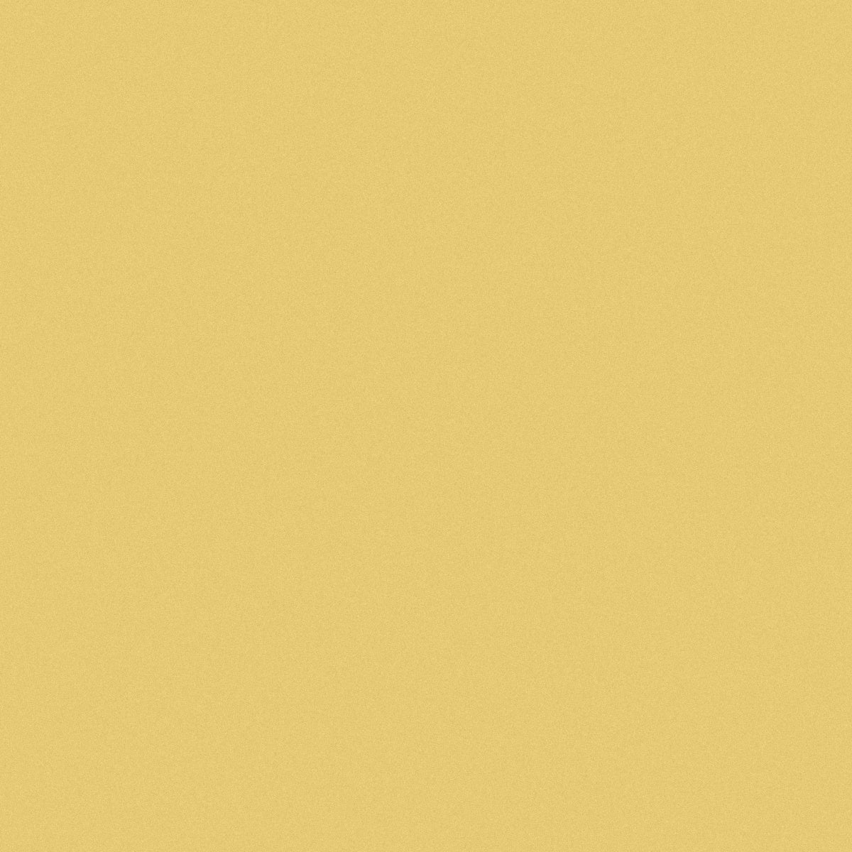 Chamois Gold